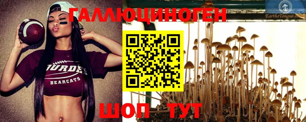 Галлюциногенные грибы мицелий  Вход с VPN  Галлюциногенные грибы Cubensis  Приморско-Ахтарск 
